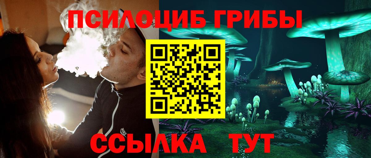 Псилоцибиновые грибы мицелий Семилуки